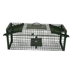 Ratten val